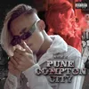 Pune Compton City